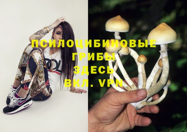 МДМА Коряжма