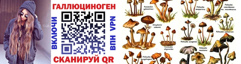 Галлюциногенные грибы Psilocybe  Татарск 